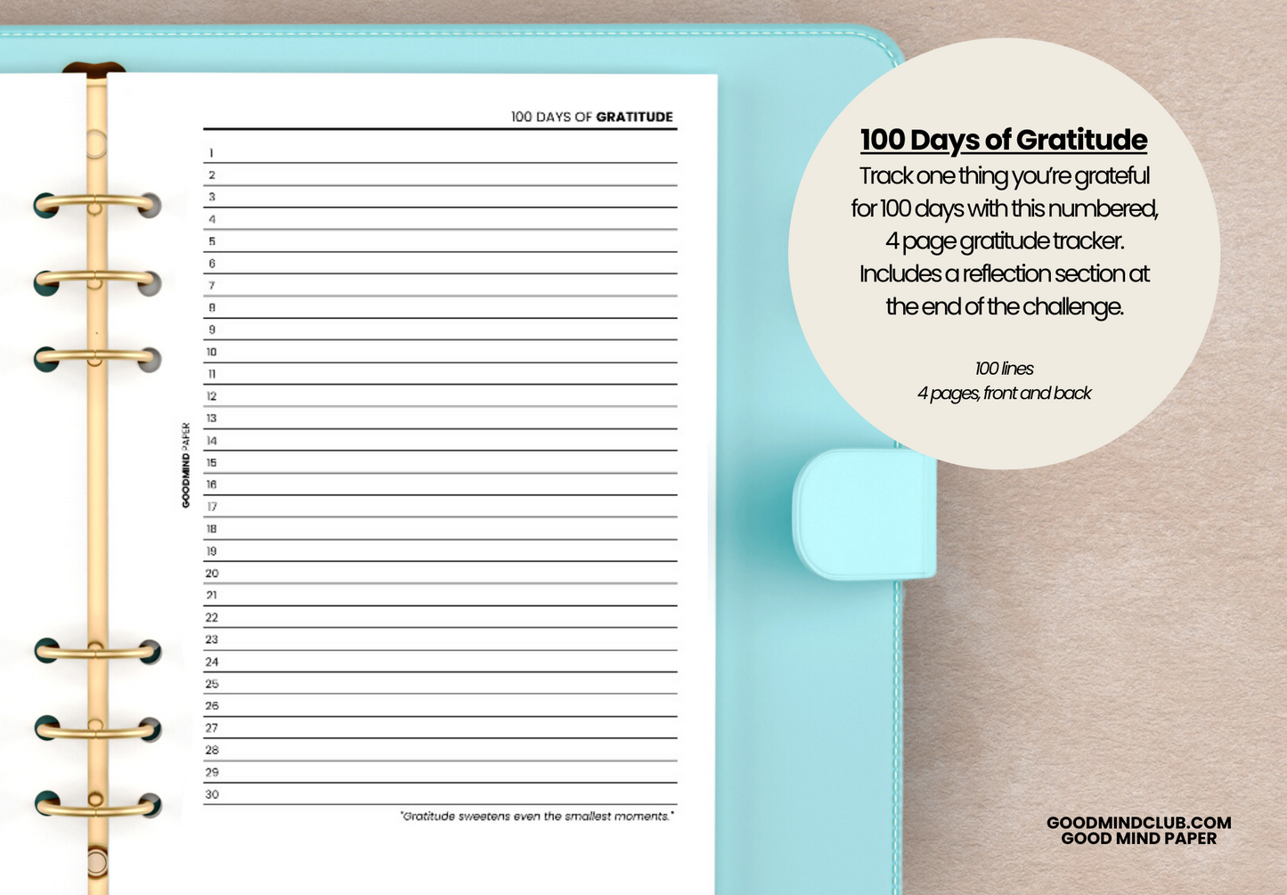 100 Days of Gratitude Challenge A5 Printable Insert Freebie